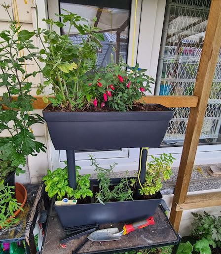 Stabil auf der Terrasse