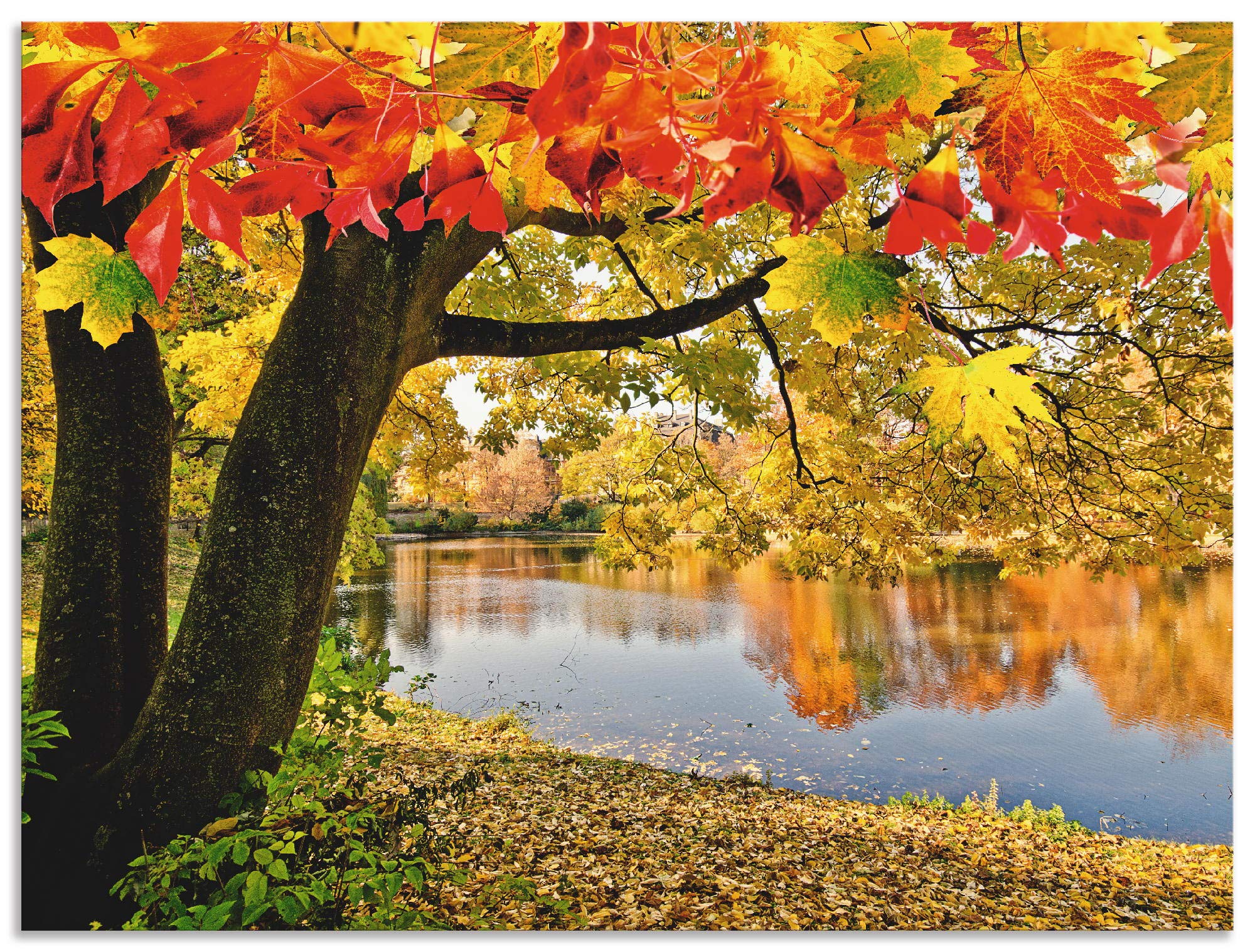 artland-alubilder-herbst-see-alu-bild-60x40-cm-wald-outdoor image 1