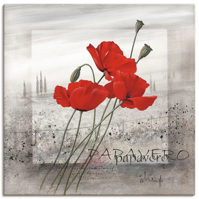 artland-leinwandbilder-mohnblumen-am-morgen-leinwandbild-40x40-rote-mohnblumen image 1