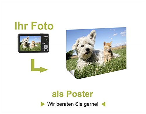 artland-minions-film-poster-61x91-5-cm-gelb-ich-einfach image 4