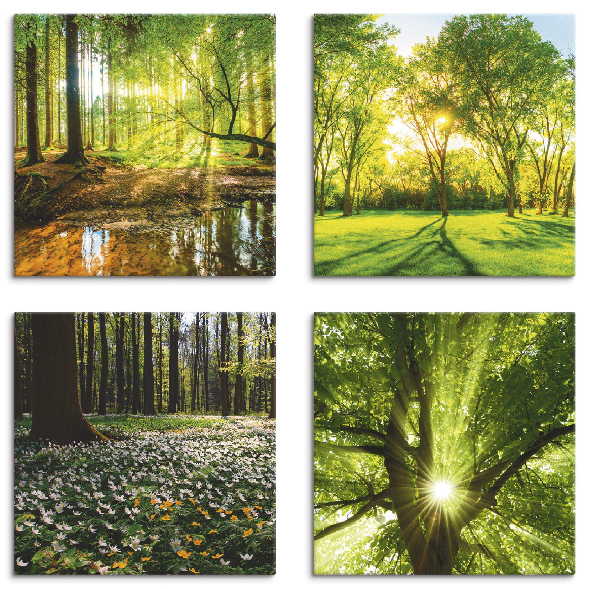 artland-leinwandbilder-k2fr-set-4x40x40-cm-wald-bach-h image 1