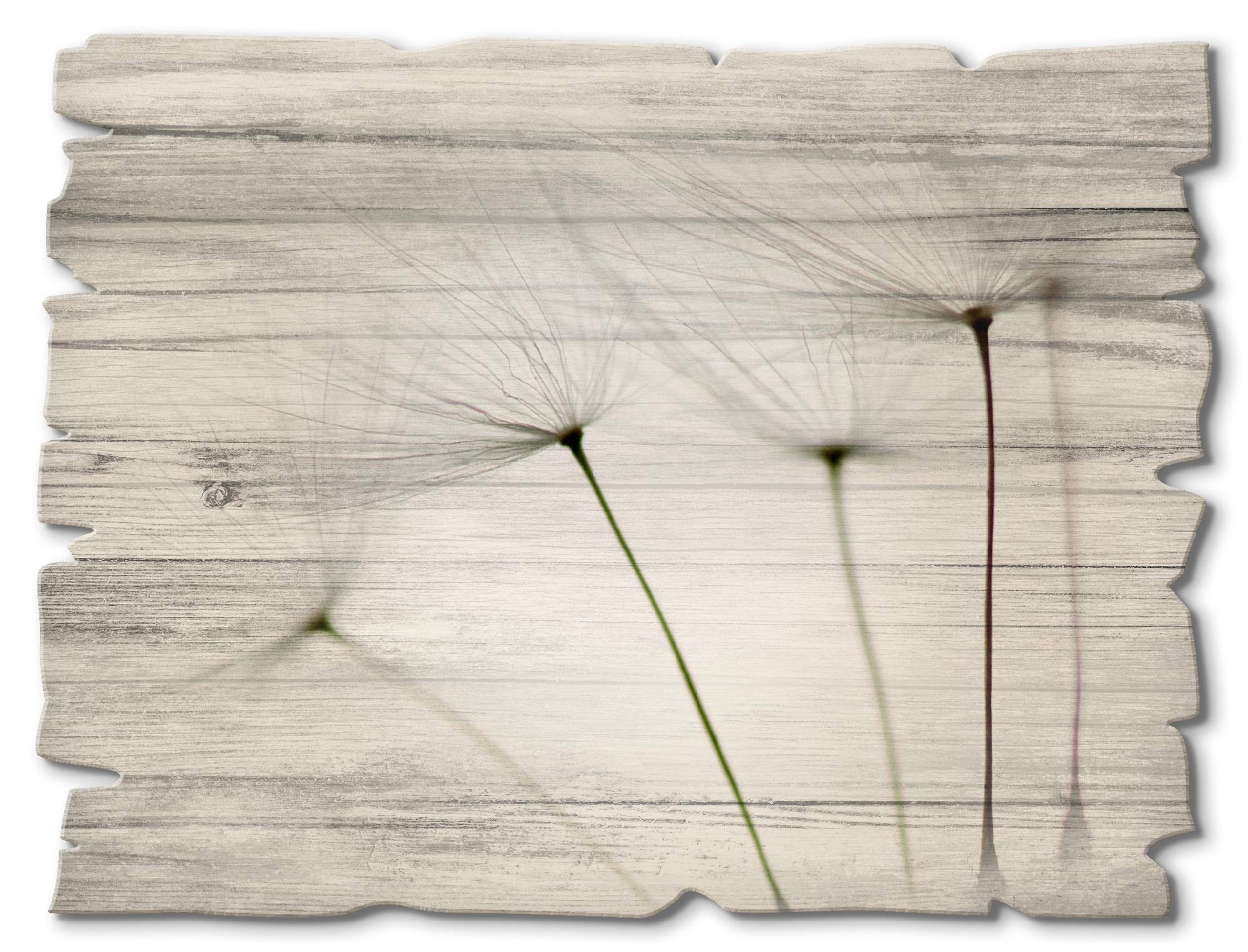 artland-holzbilder-g-nsebl-mchen-holzbild-40x30-cm-quer image 6