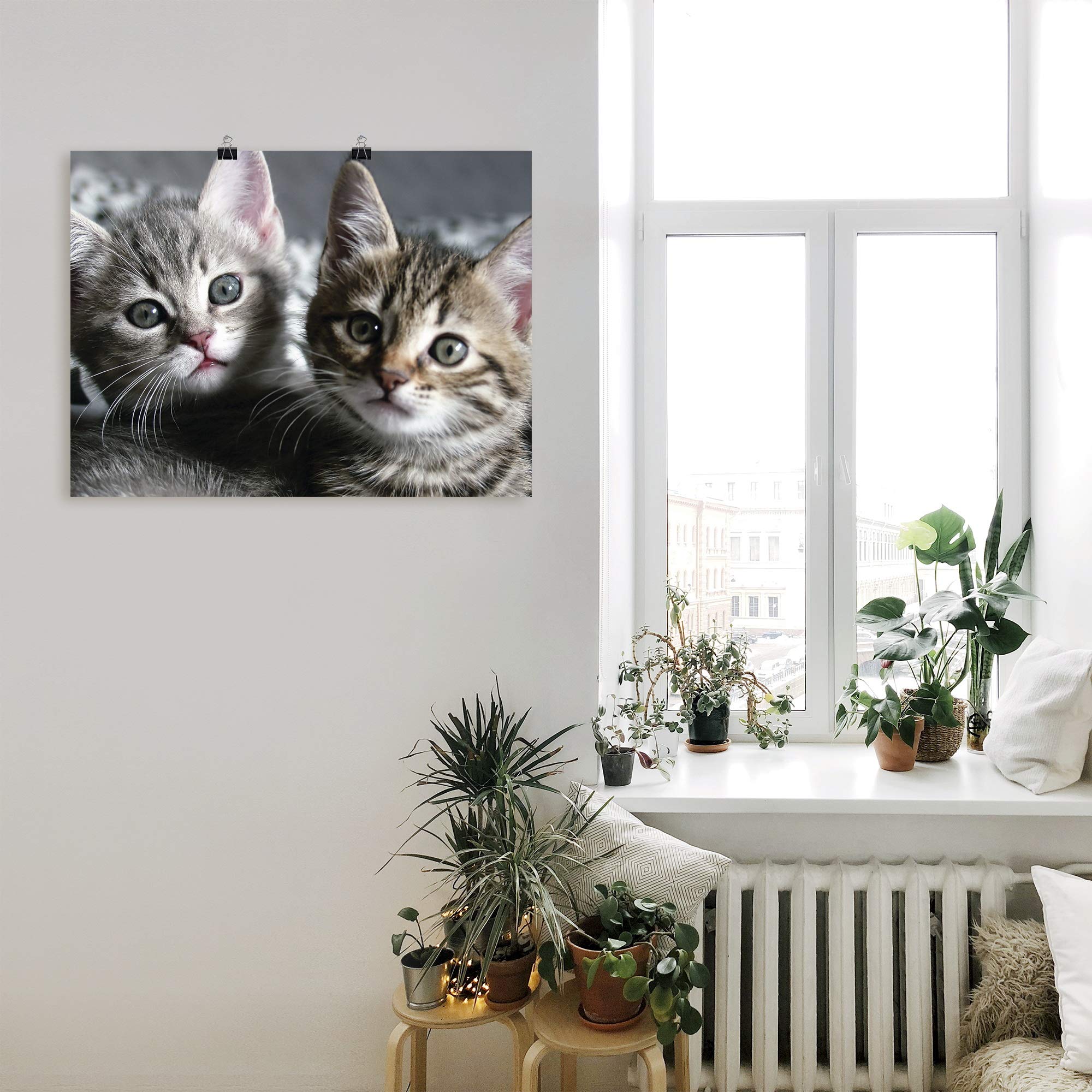 artland-kitten-poster-80x60-cm-katzenbaby image 8