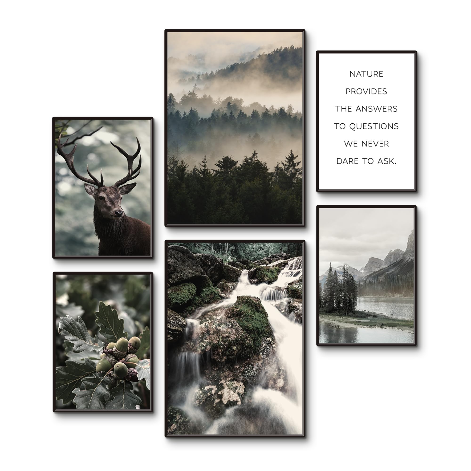 artland-posterset-mystic-forest-6-tlg-2xa3-4xa4-ohne-rahmen image 1