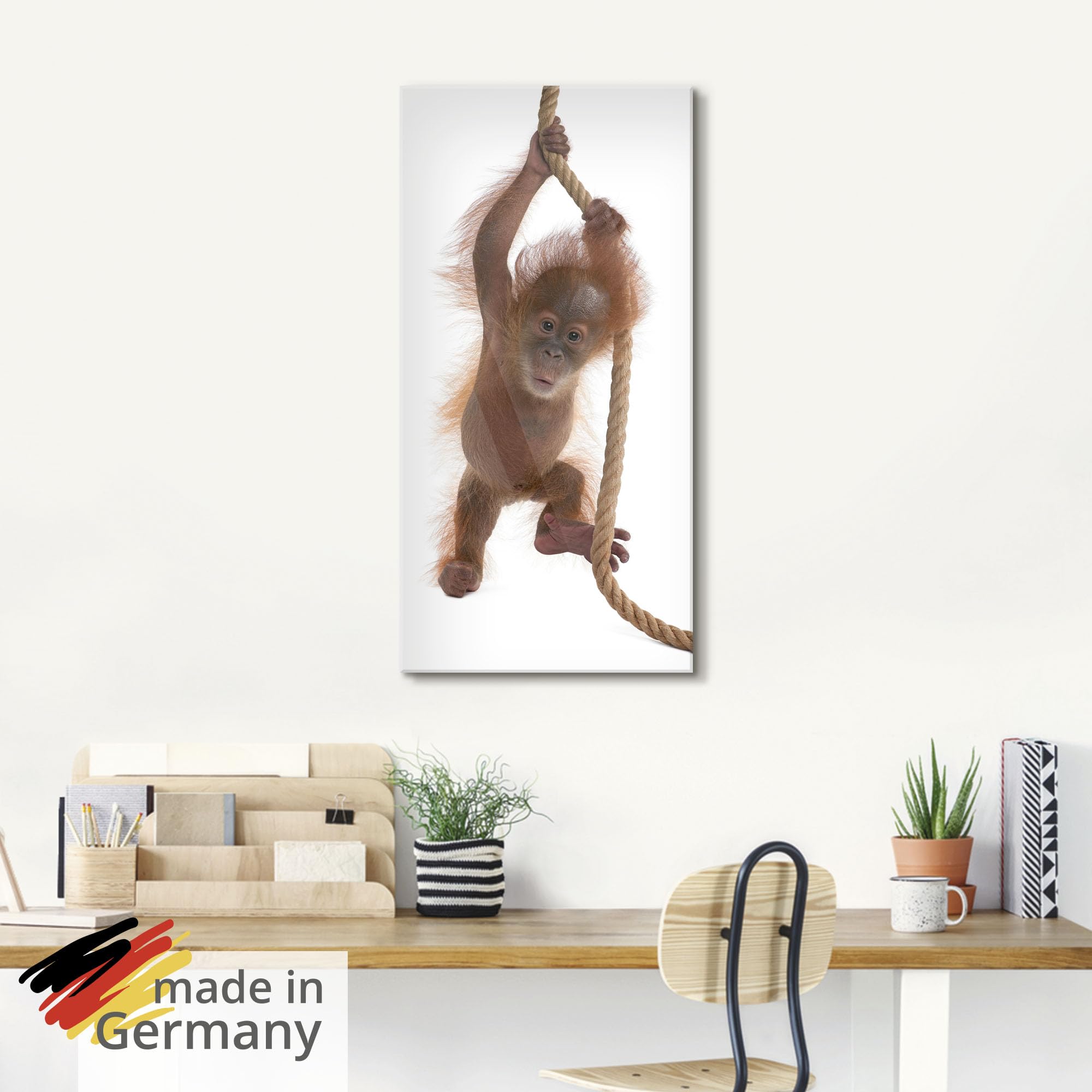 artland-glasbilder-t5ri-glasbild-affe-baby-orang-utan image 5