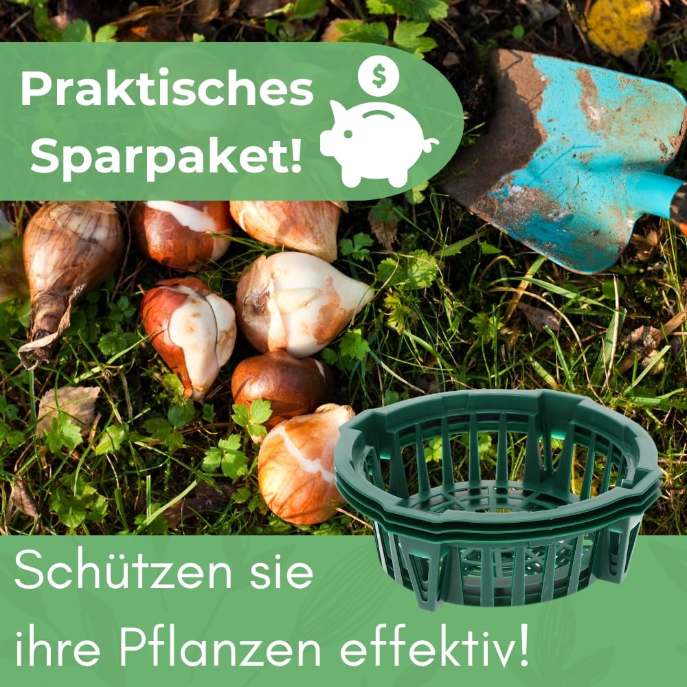 garpet-garten-pflanzk-rbe-blumenzwiebeln-12er-set-22-cm image 6