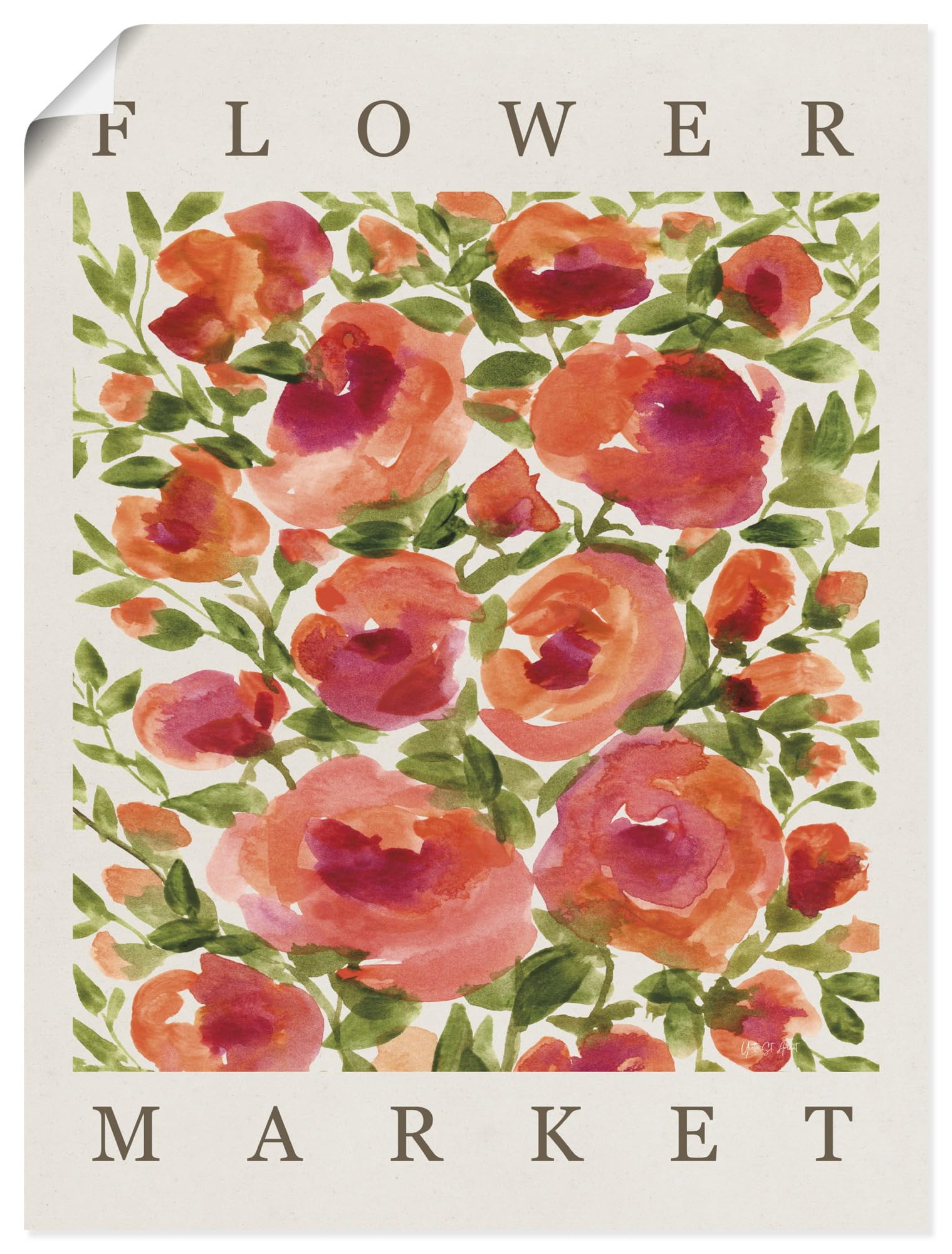 artland-kunstdrucke-u4qn-poster-mohn-mohnblume image 5