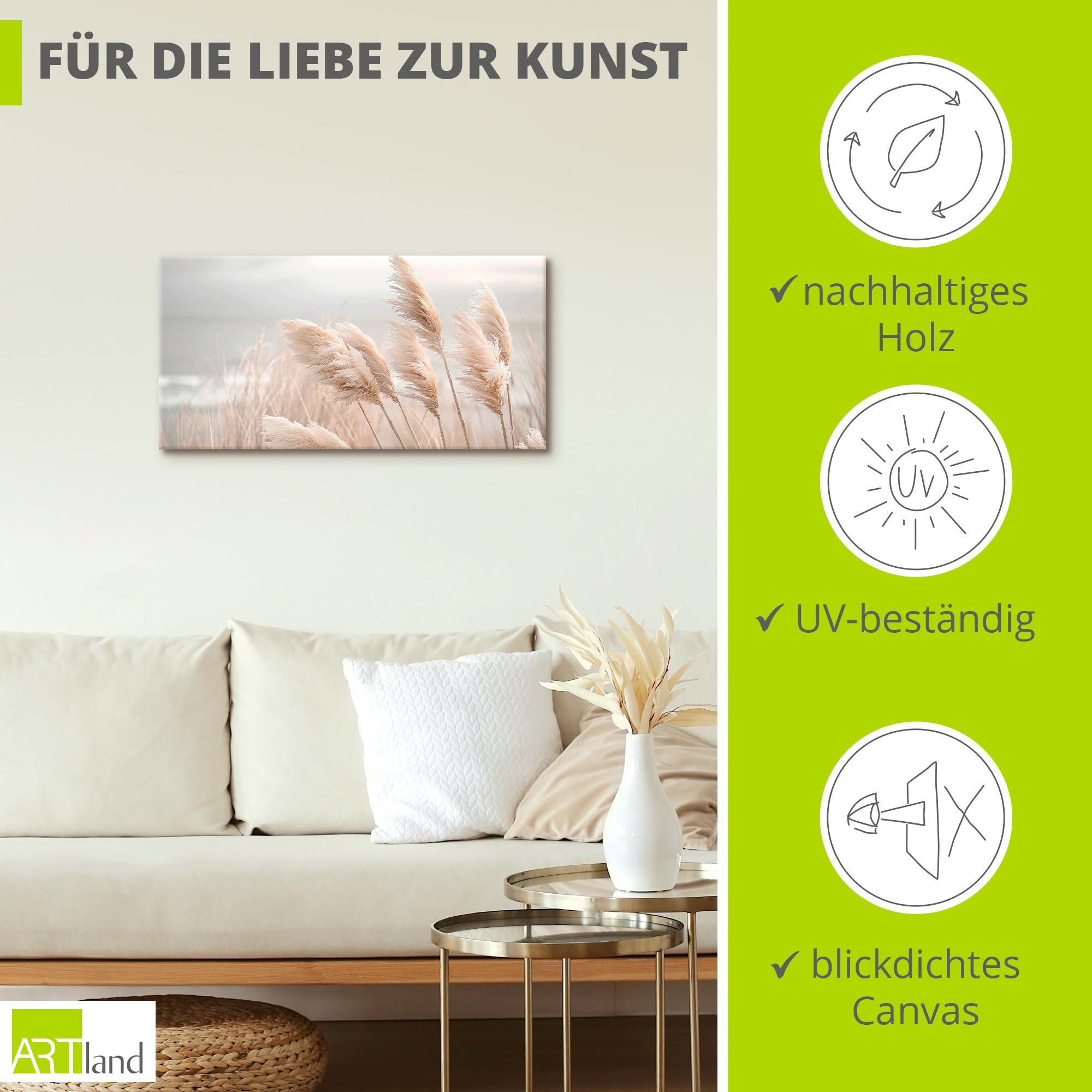 artland-leinwandbilder-pampasgras-leinwand-60x30-cm-boho image 2