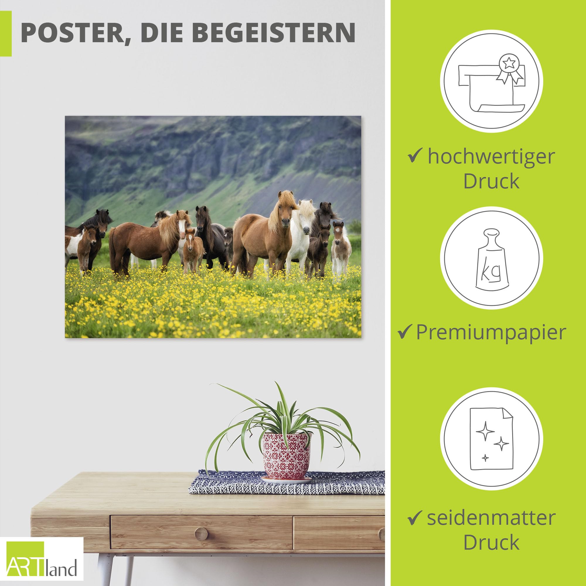 artland-kunstdrucke-t1sl-poster-80x60-cm-pferde-island image 2