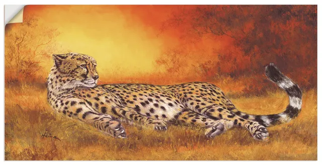 artland-wandaufkleber-gepard-liegend-60x30-cm image 1