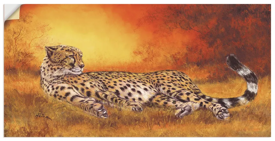 artland-wandaufkleber-gepard-liegend-60x30-cm image 1