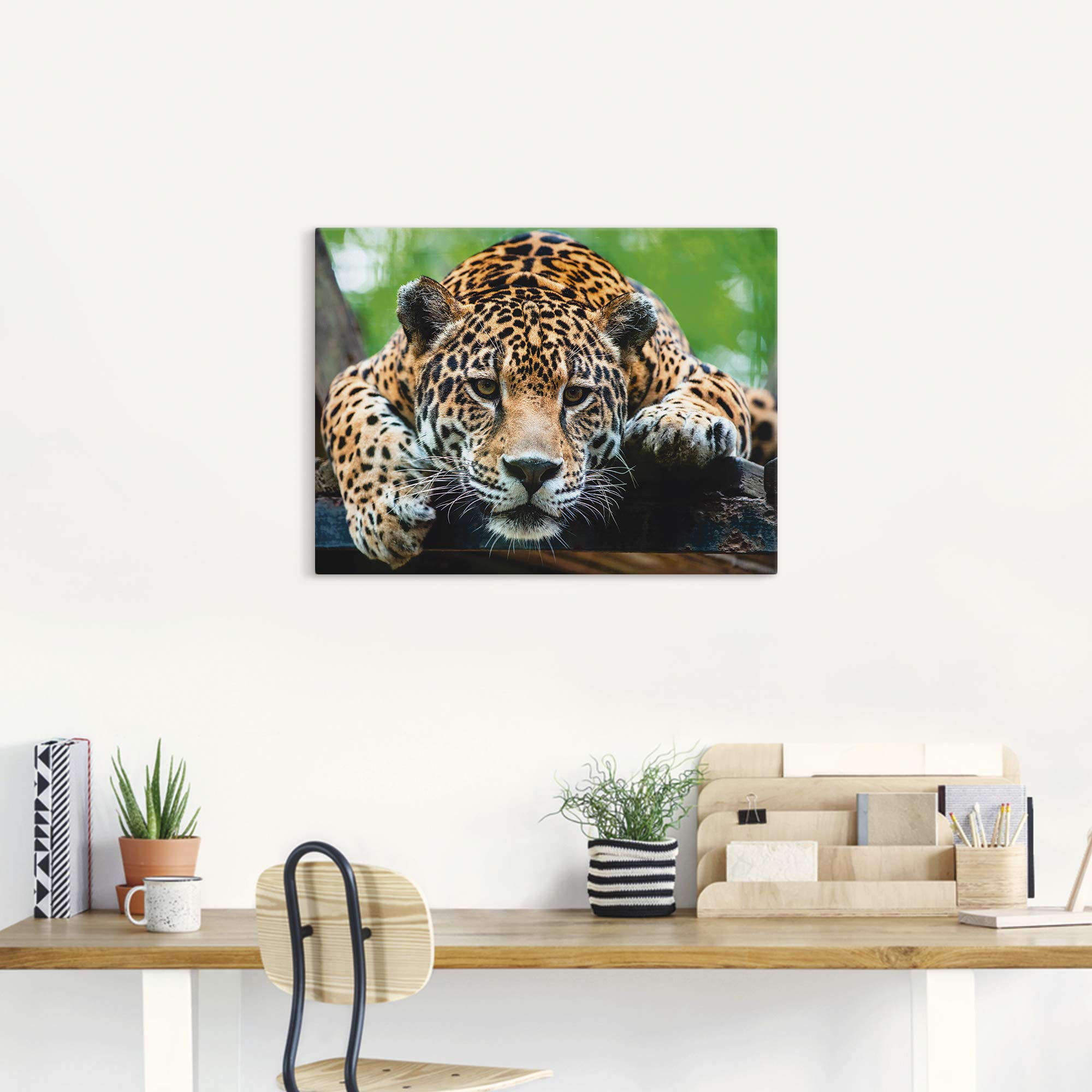 artland-jaguar-leinwandbild-60x45-cm-wildtiere-braun-foto image 7