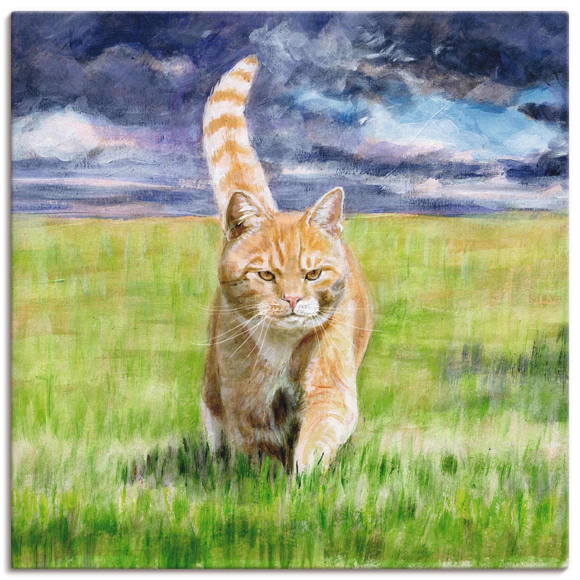 artland-leinwandbilder-a8ue-leinwandbild-80x60-katze-fensterbank image 8