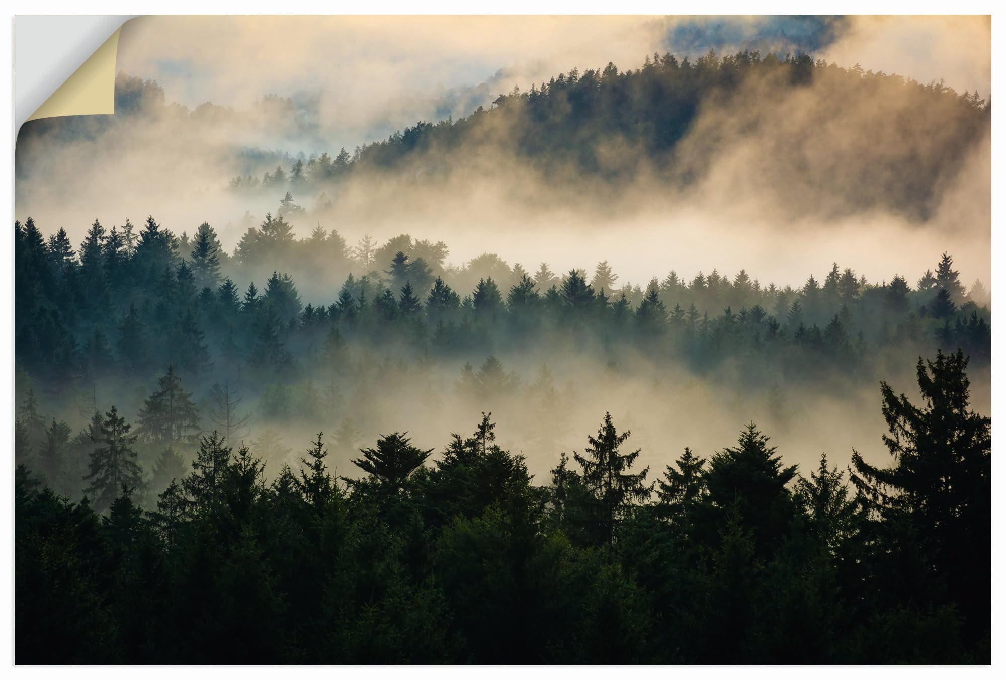 artland-wandaufkleber-wald-nebel-120x80-cm-wandtattoo-vinyl image 1