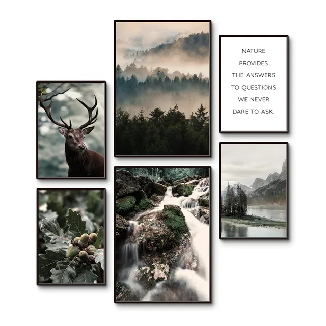 artland-posterset-mystic-forest-6-tlg-2xa3-4xa4-ohne-rahmen image 1