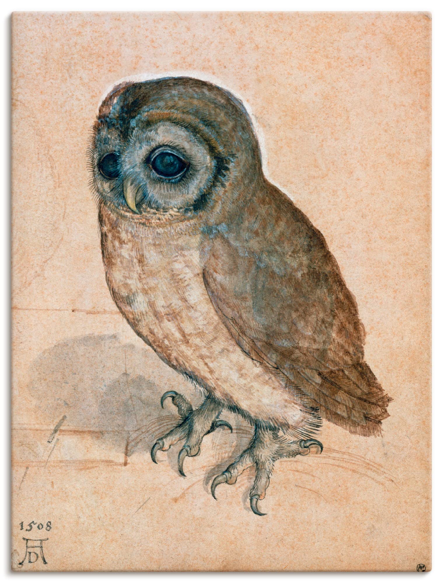 artland-leinwandbilder-gimpel-vogel-leinwandbild-70x50-cm image 5
