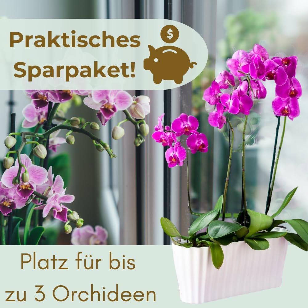 garpet-garten-orchideentopf-wei-2er-set-gro-kunststoff-innen image 6