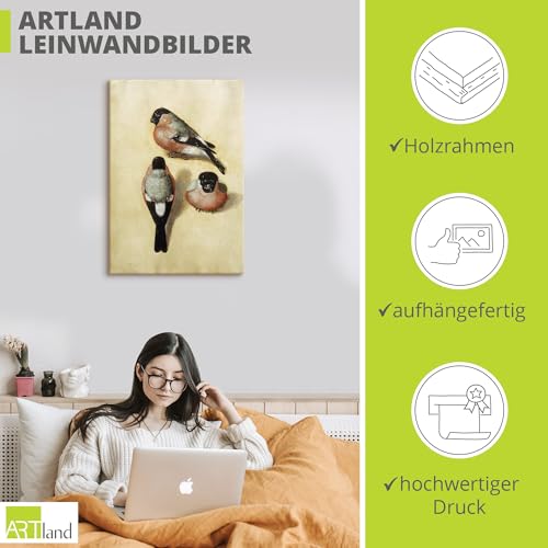artland-leinwandbilder-gimpel-vogel-leinwandbild-70x50-cm image 8