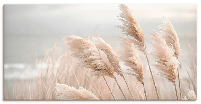 artland-leinwandbilder-pampasgras-leinwand-60x30-cm-boho image 1