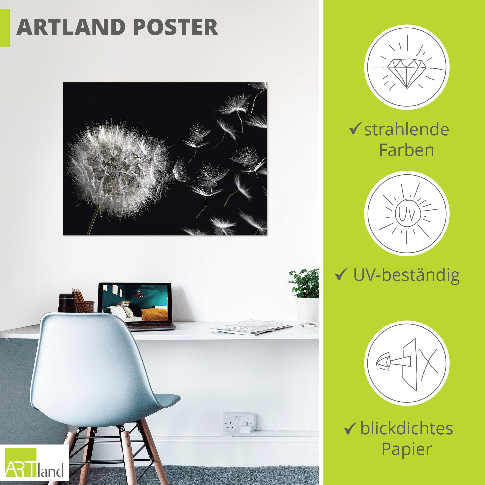 artland-pusteblume-poster-80x60-cm-schwarz-wei image 3