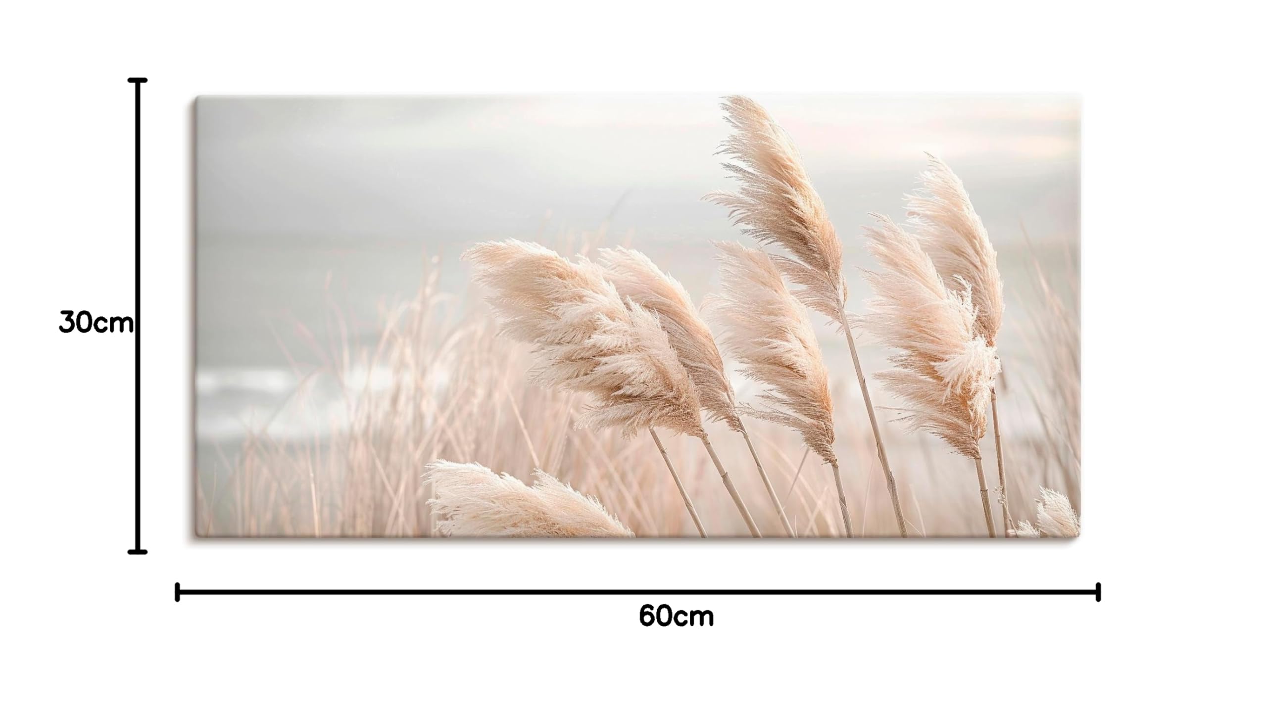artland-leinwandbilder-pampasgras-leinwand-60x30-cm-boho image 7