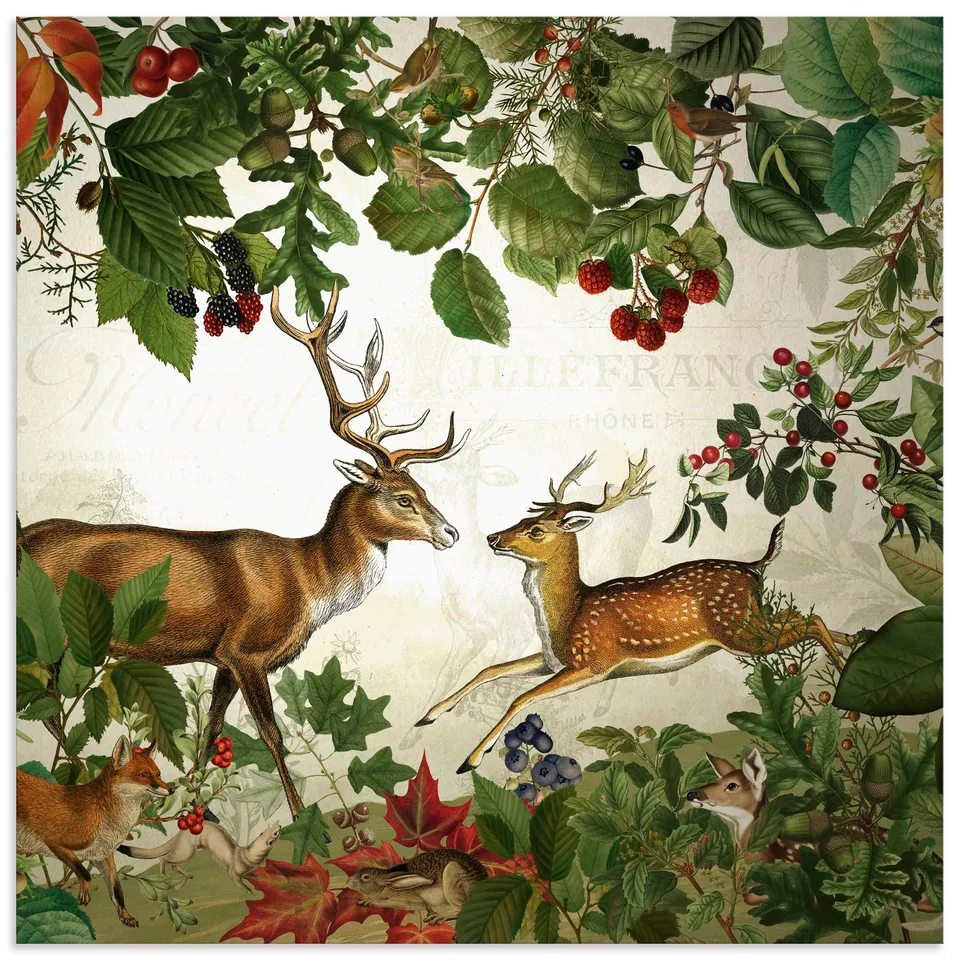 artland-alubild-u5gx-hirsch-wald-40x60-cm-outdoor image 1