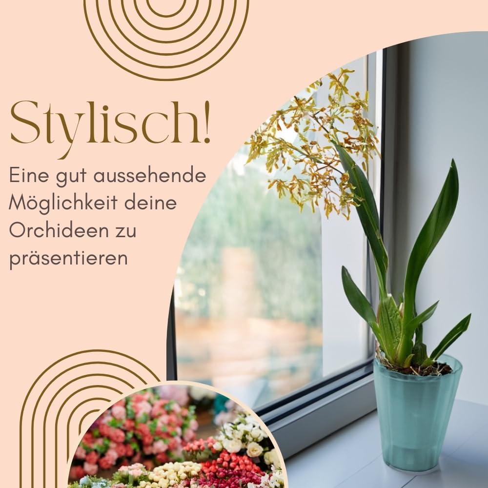 garpet-garten-orchideentopf-transparent-16-cm-4er-set-bertopf image 3