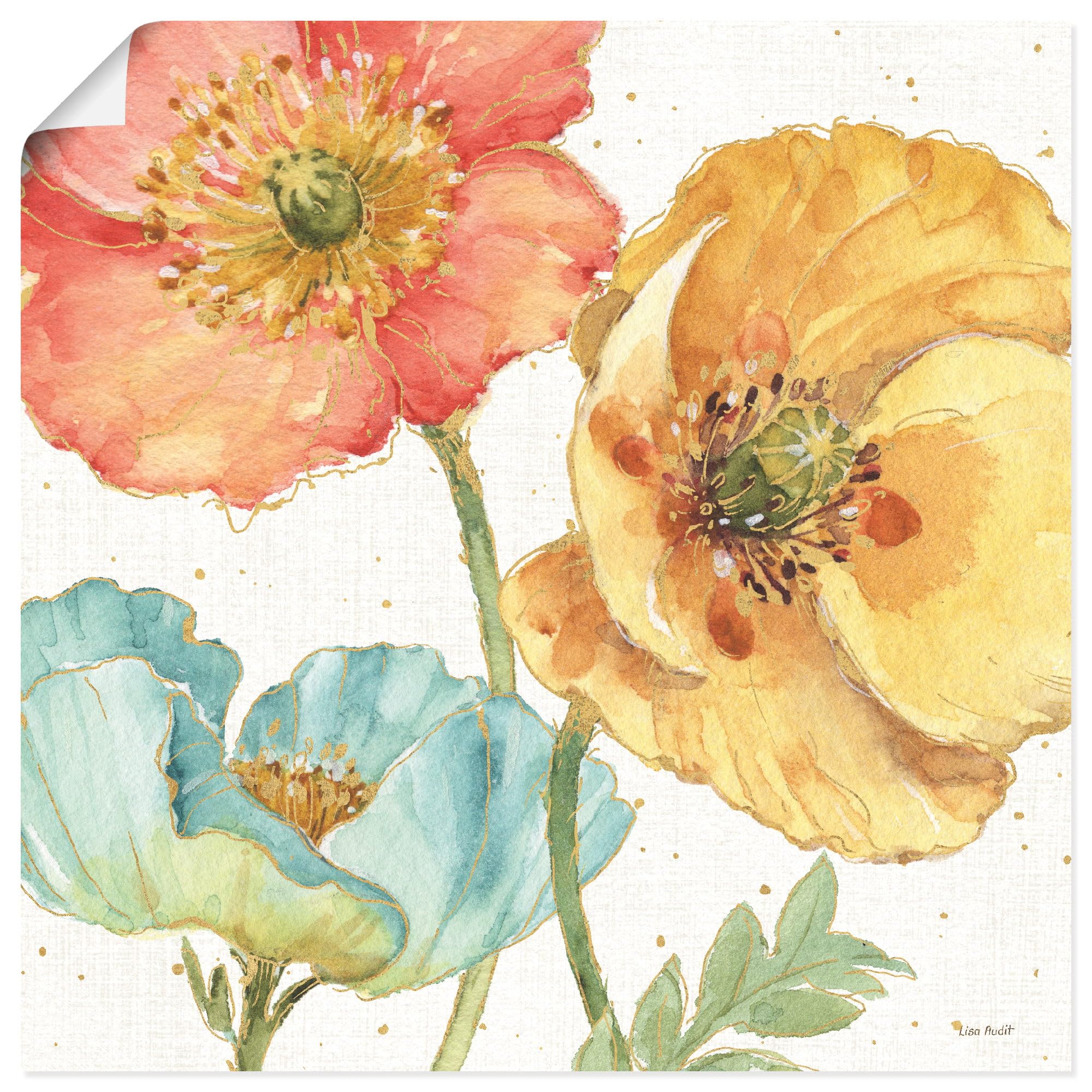 artland-kunstdrucke-u4qn-poster-mohn-mohnblume image 3