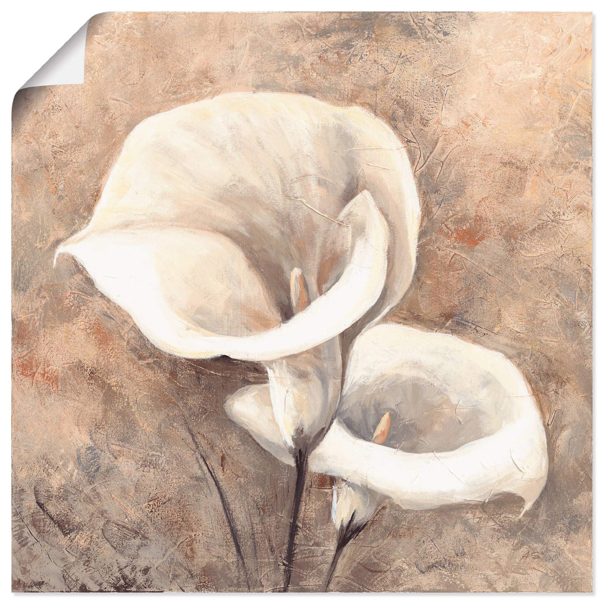 artland-kunstdrucke-u4qn-poster-mohn-mohnblume image 7