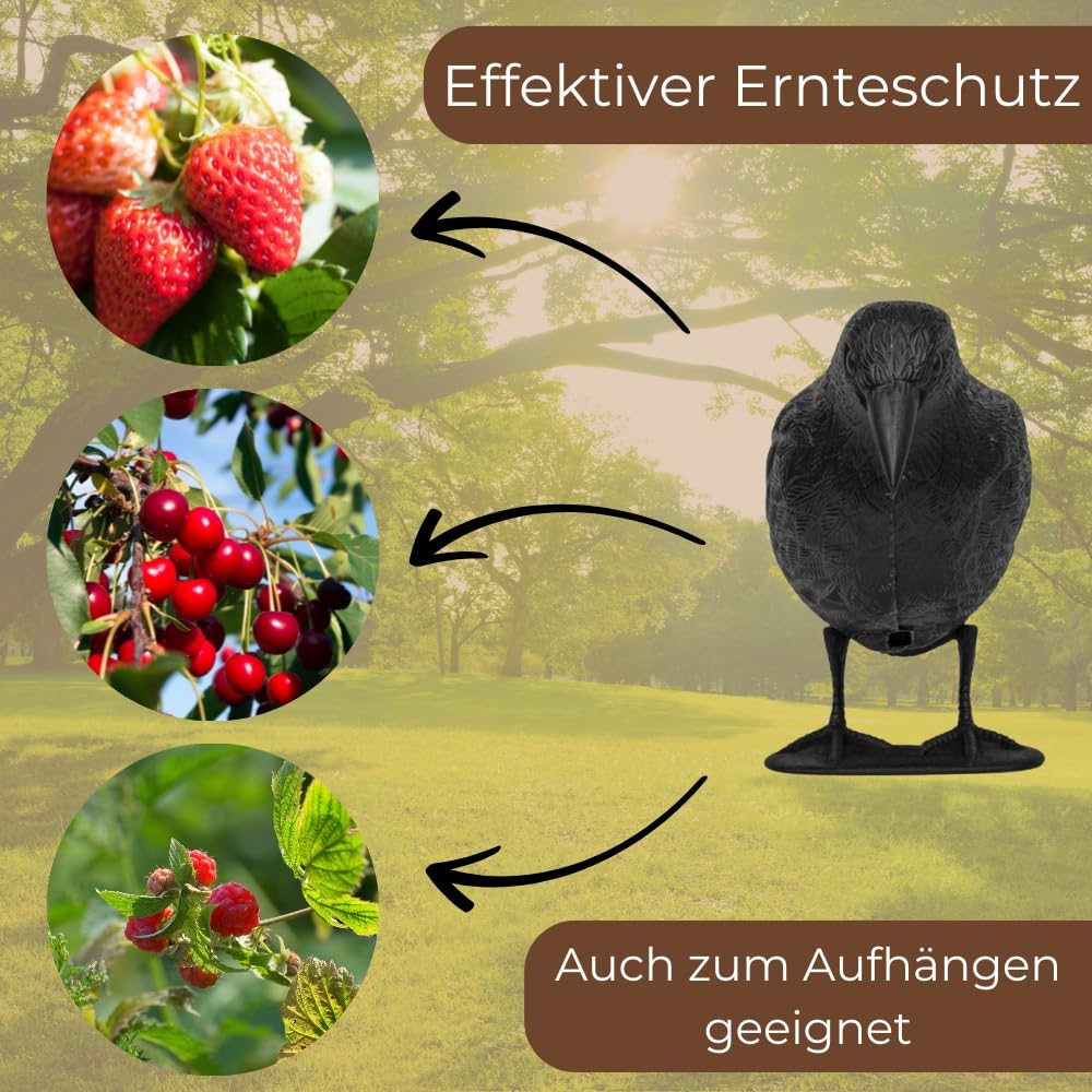 garpet-garten-rabe-attrappe-mit-dorn-taubenabwehr-schwarz image 3