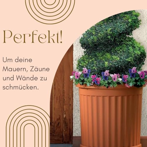 garpet-garten-pflanzk-bel-halbrund-terrakotta-2er-set-gro image 8