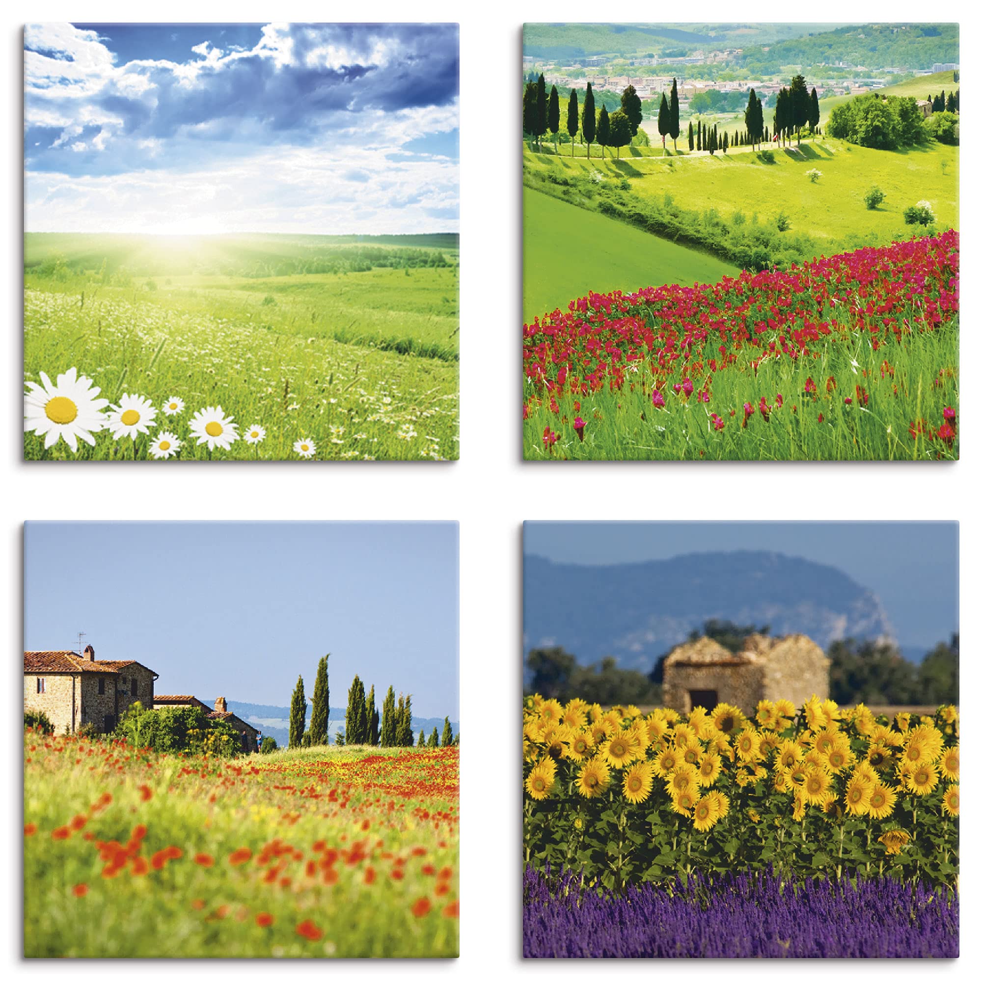 artland-leinwandbilder-blumenfelder-leinwandbild-4tlg-40x40-cm-gr-n image 1