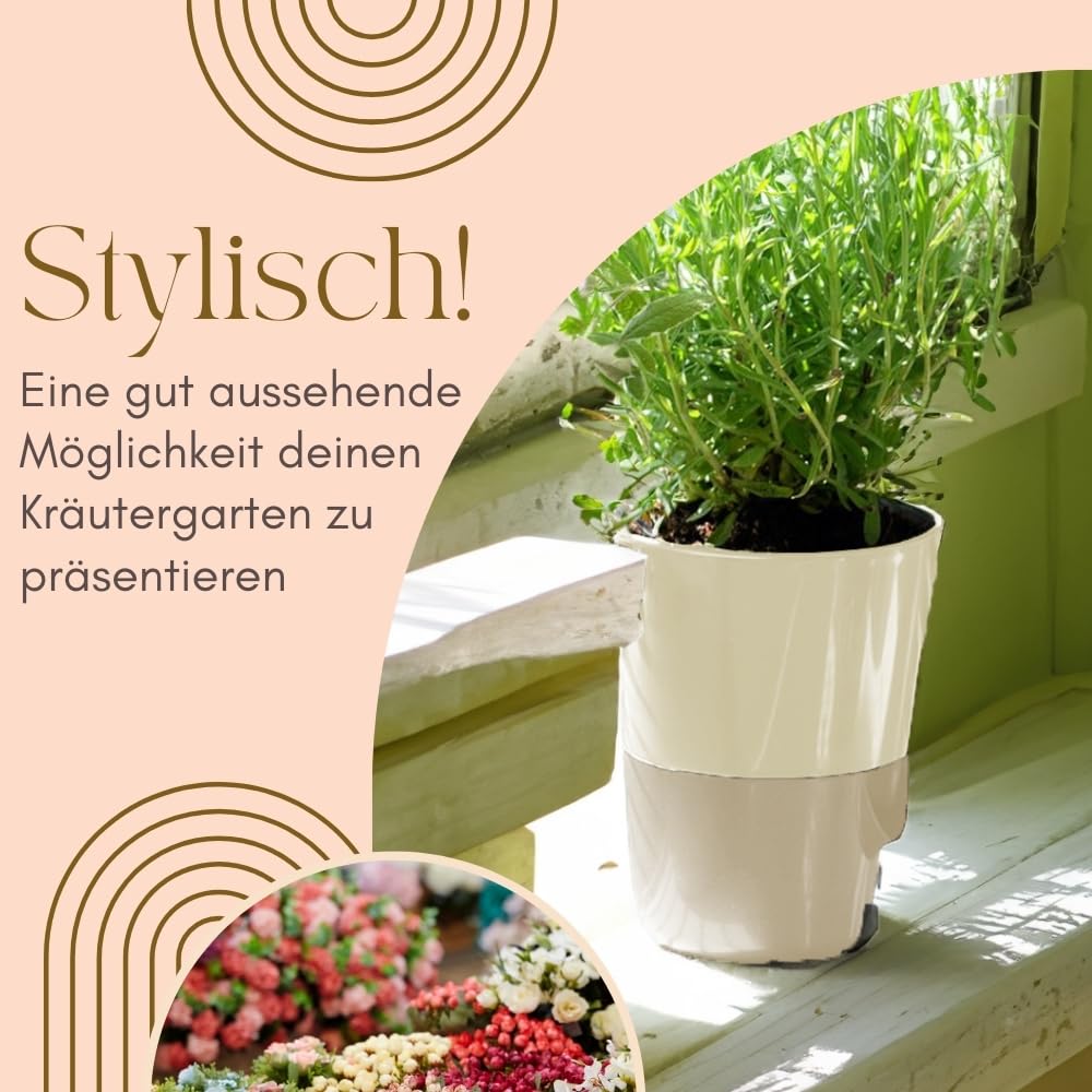 garpet-garten-kr-utertopf-selbstbew-ssernd-4er-set-11cm-elfenbein image 3