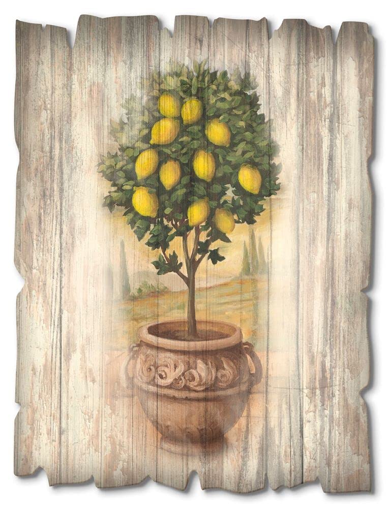 artland-holzbilder-olivenbaum-holzbild-30x40-cm-vintage-toskana image 7