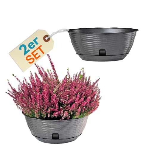 garpet-garten-pflanzschale-40-cm-2er-set-anthrazit-rattan image 7