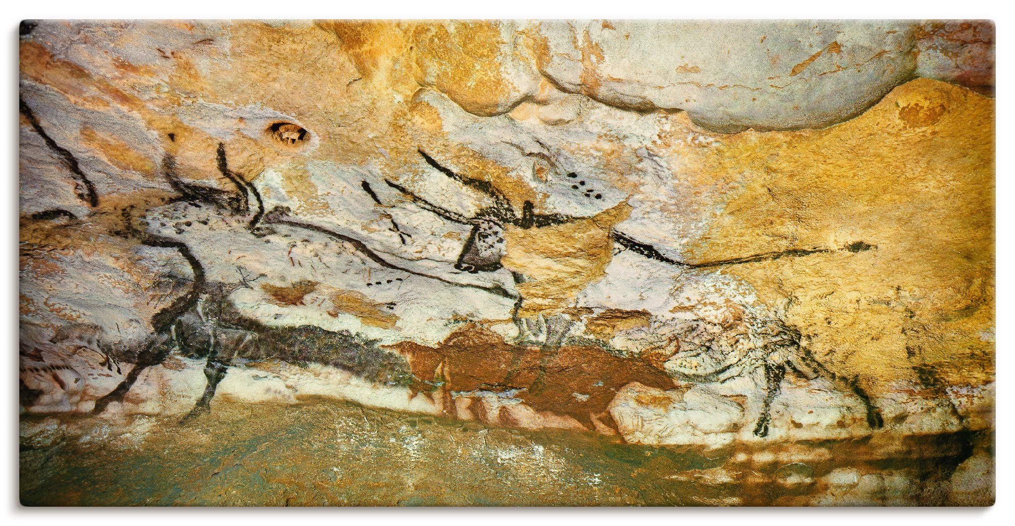 artland-leinwandbilder-wandbild-100x50-steinzeit-stier image 1