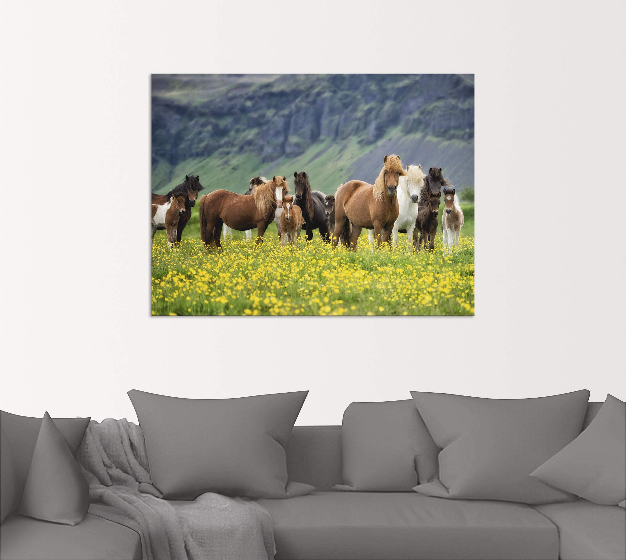 artland-alubilder-pferde-alubild-40-x-30-cm-wetterfest image 5
