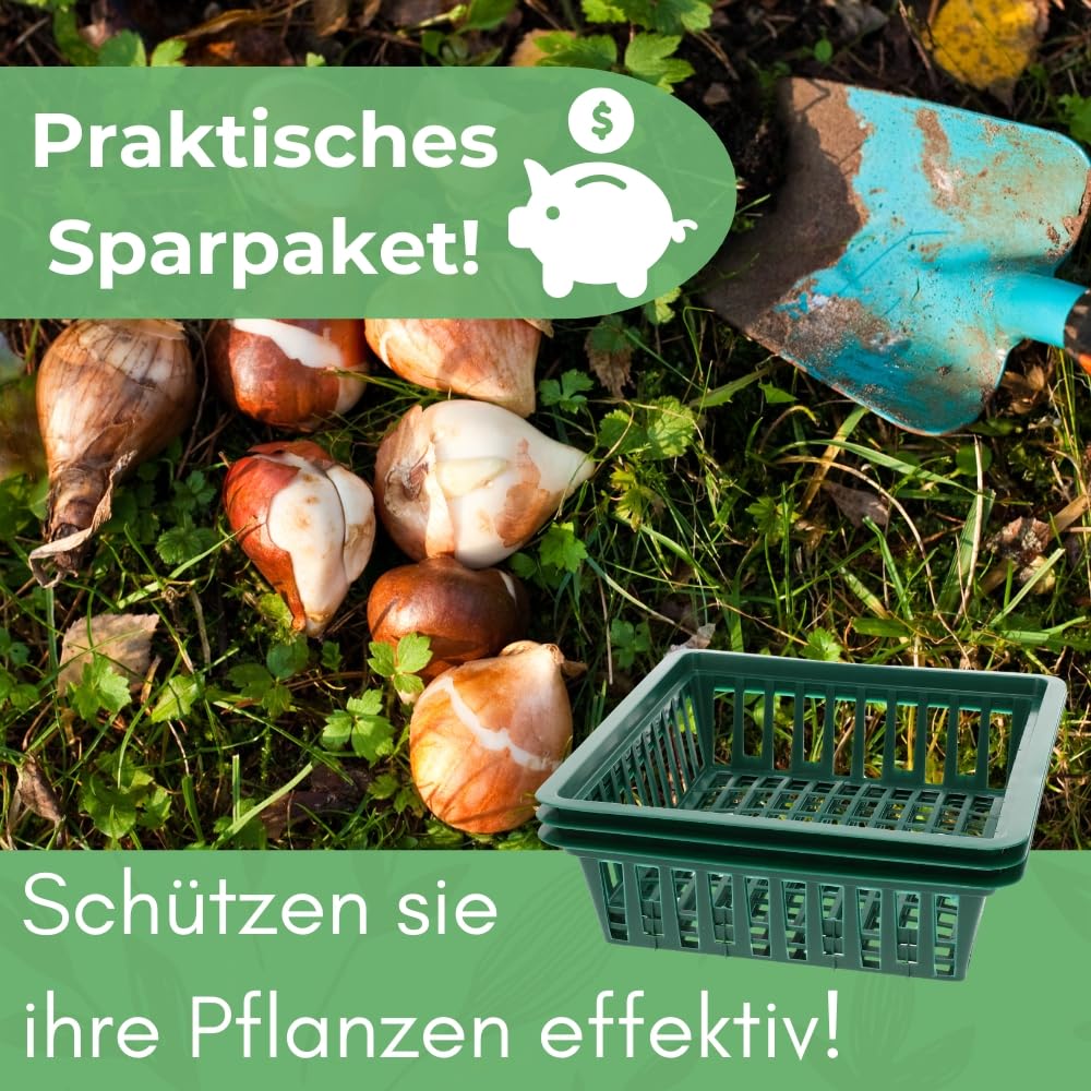 garpet-garten-pflanzkorb-blumenzwiebeln-12er-set-28x26-cm image 6