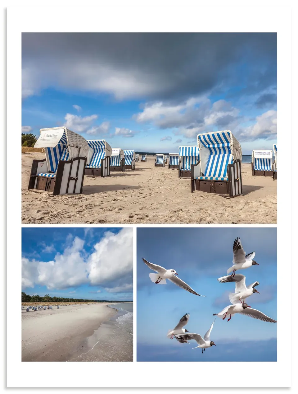 artland-alubilder-u5jc-alu-prerow-strand-30x40-cm image 1