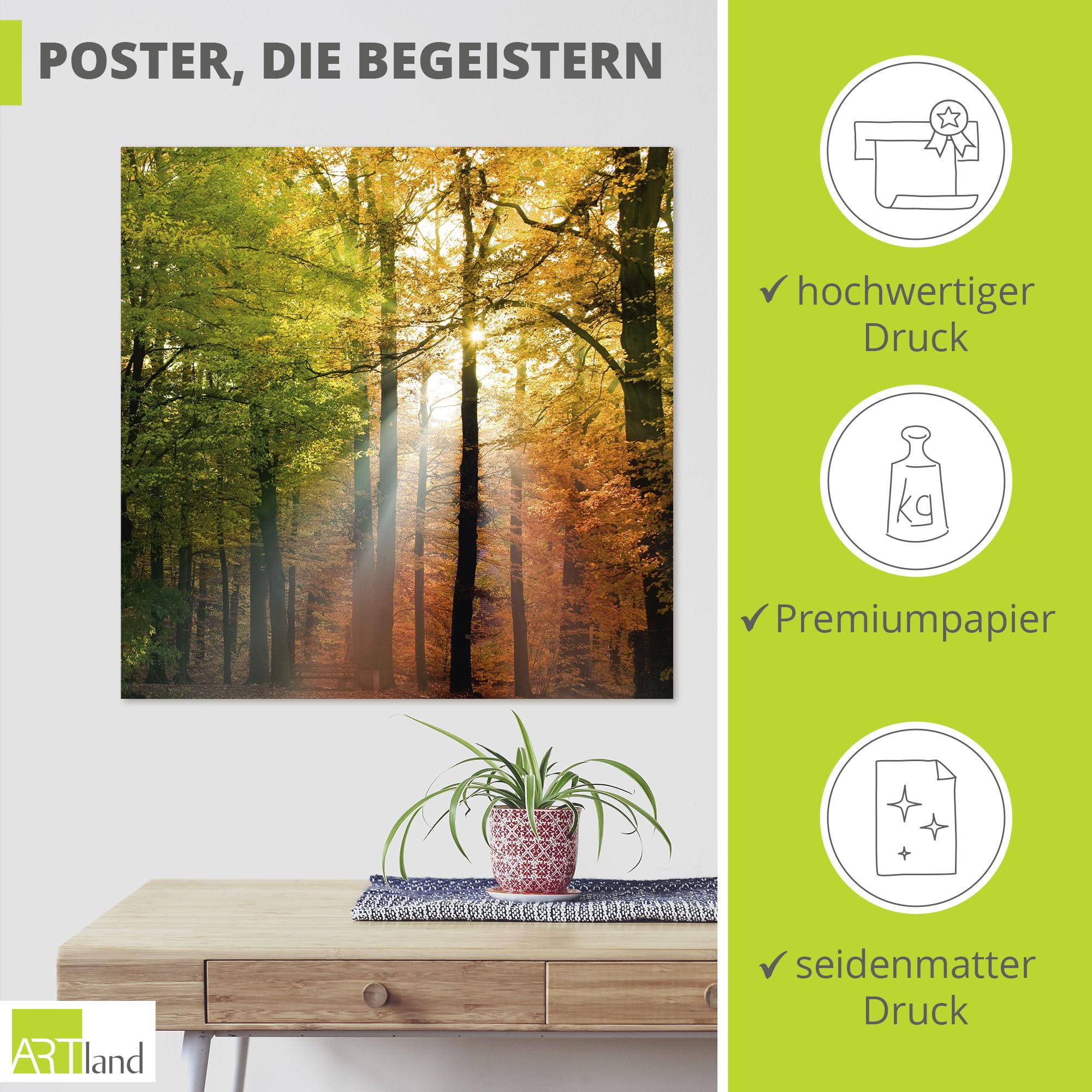 artland-kunstdrucke-herbsttag-poster-30x30-cm-wald-herbst-ungerahmt image 2