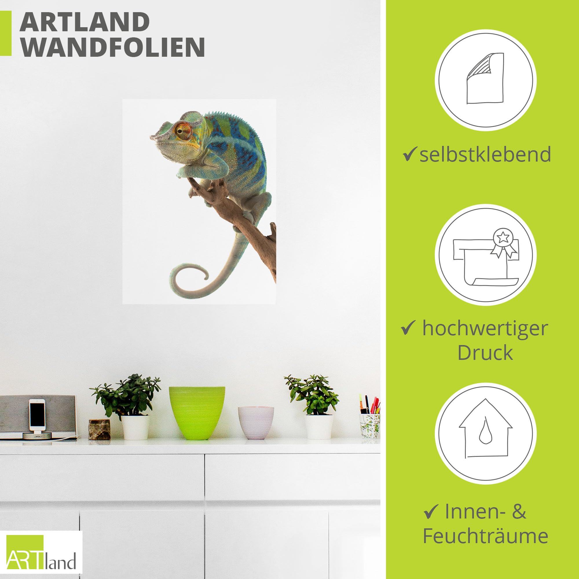 artland-wandaufkleber-cham-leon-panther-vinyl-selbstklebend image 3