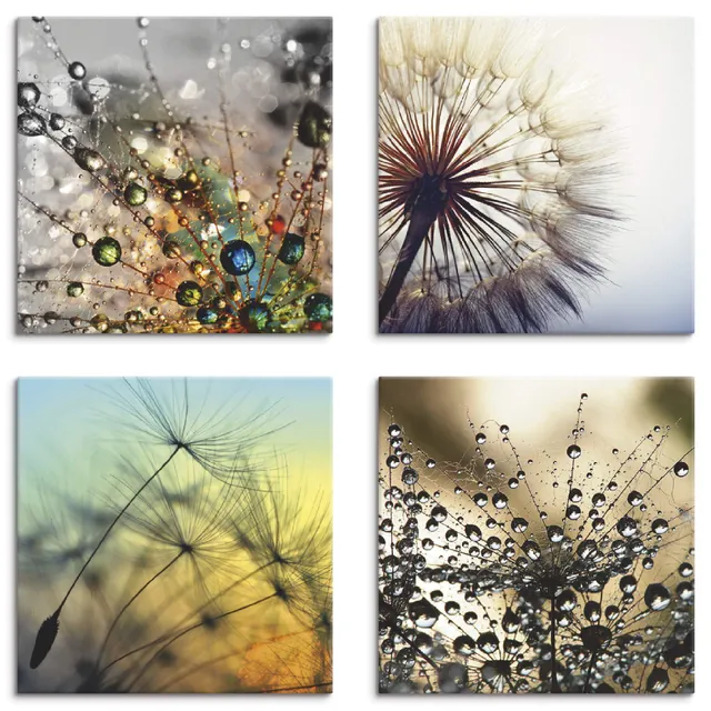 artland-leinwandbilder-j4xd-set-4x40x40-cm-pusteblume-blumen image 1