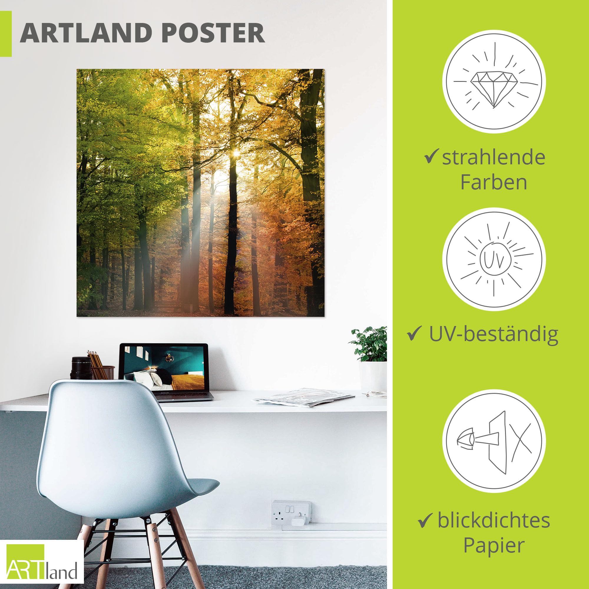 artland-kunstdrucke-herbsttag-poster-30x30-cm-wald-herbst-ungerahmt image 3