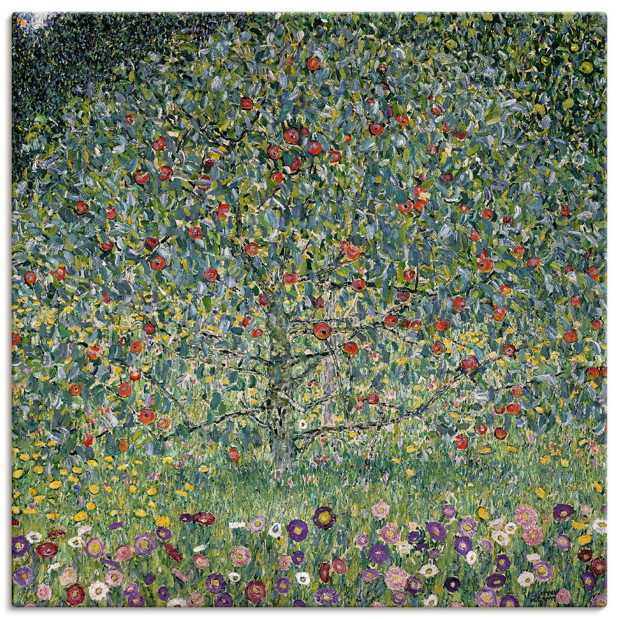 artland-leinwandbilder-t8av-leinwandbild-40x40-apfelbaum image 1