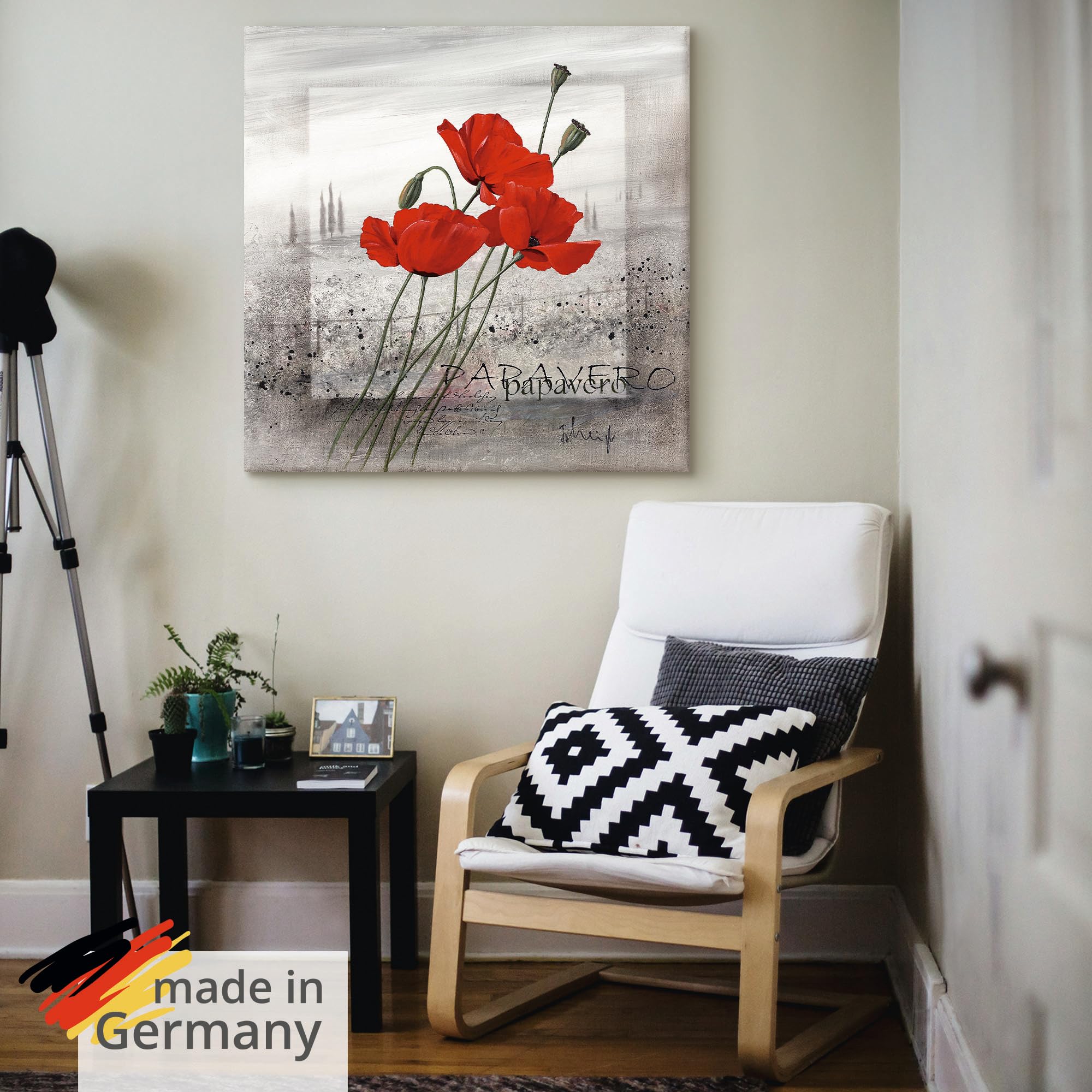 artland-leinwandbilder-mohnblumen-am-morgen-leinwandbild-40x40-rote-mohnblumen image 5