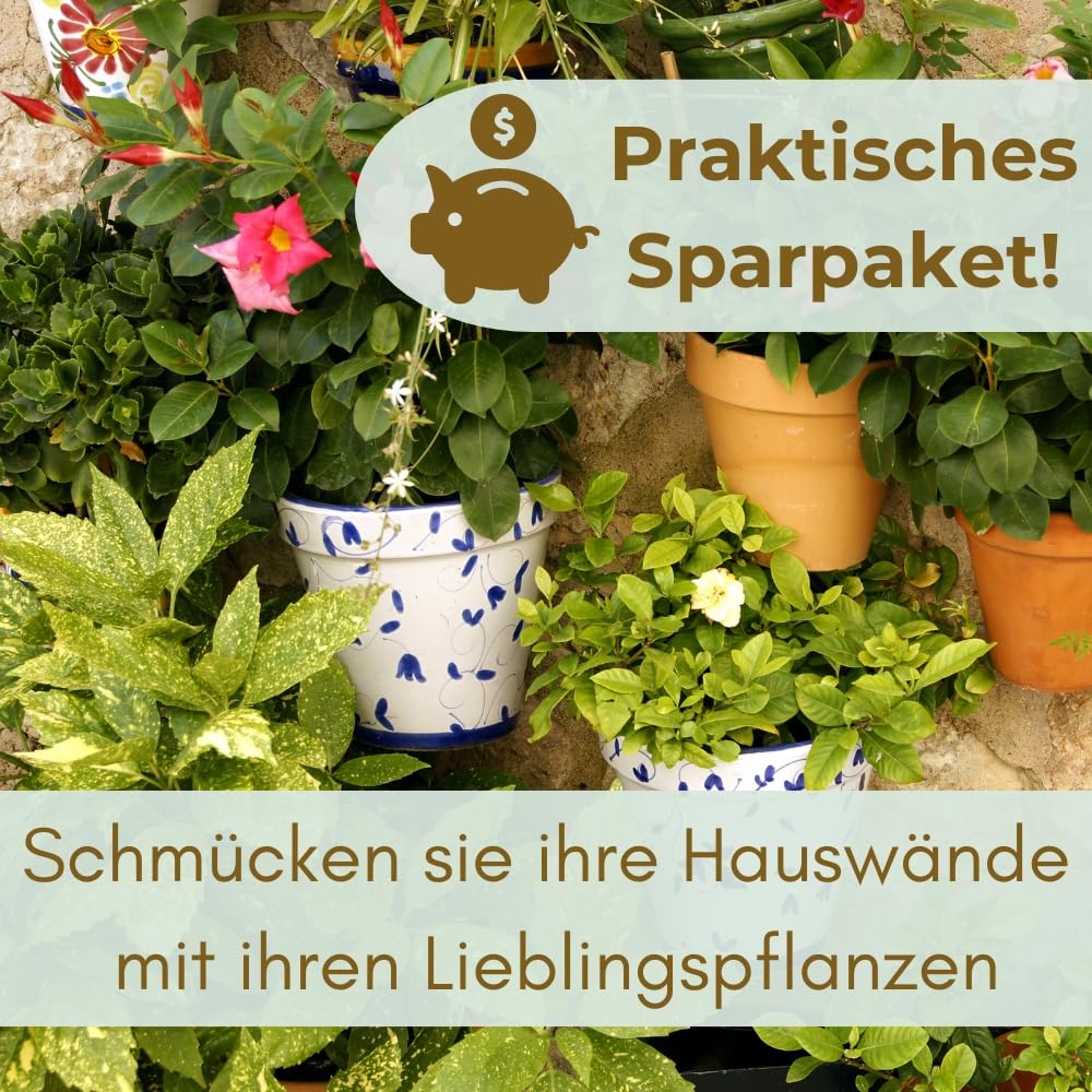 garpet-garten-wandblumentopf-terrakotta-2er-set-bl-tenf-rmig image 6