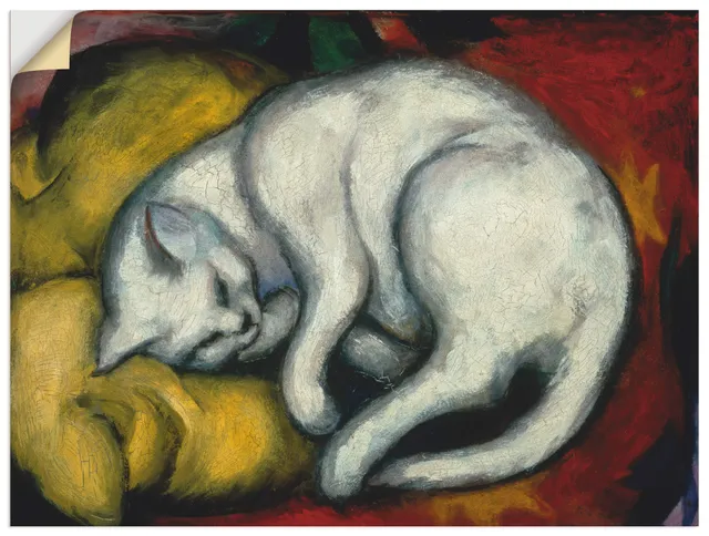 artland-wandaufkleber-weisse-katze-120-x-90-cm-vinyl image 1