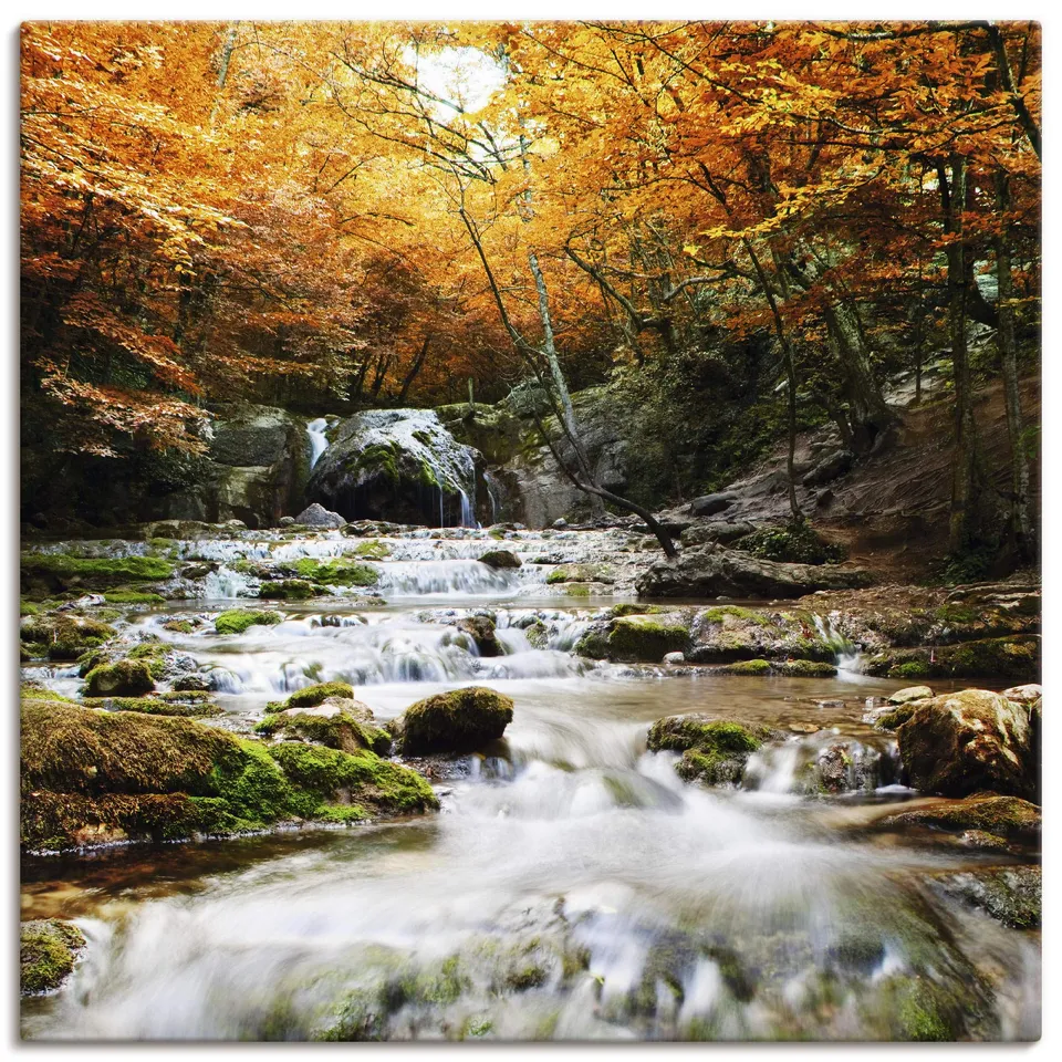artland-leinwandbilder-t5te-leinwandbild-wald-50x50-cm-herbst image 1