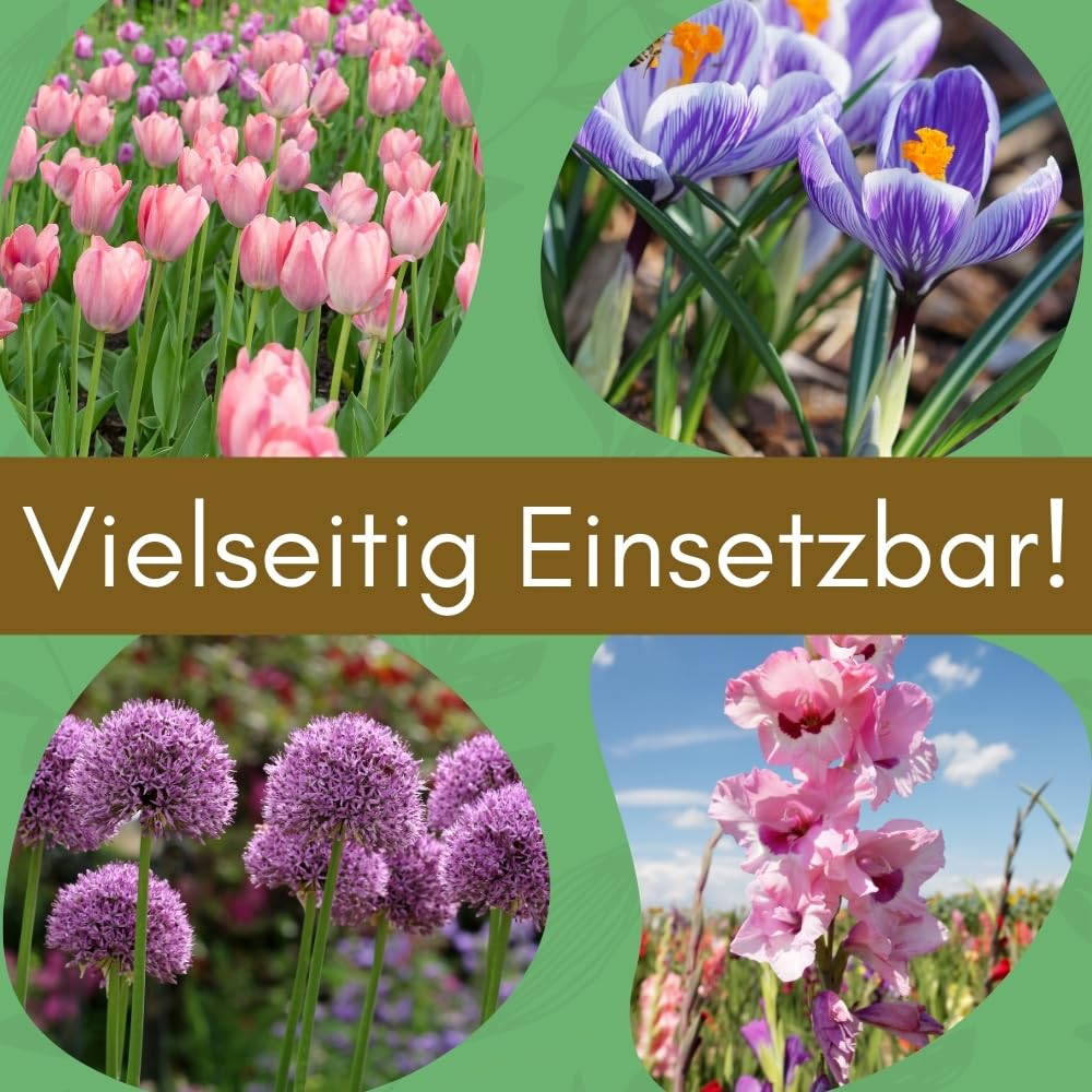 garpet-garten-pflanzk-rbe-blumenzwiebeln-12er-set-22-cm image 4