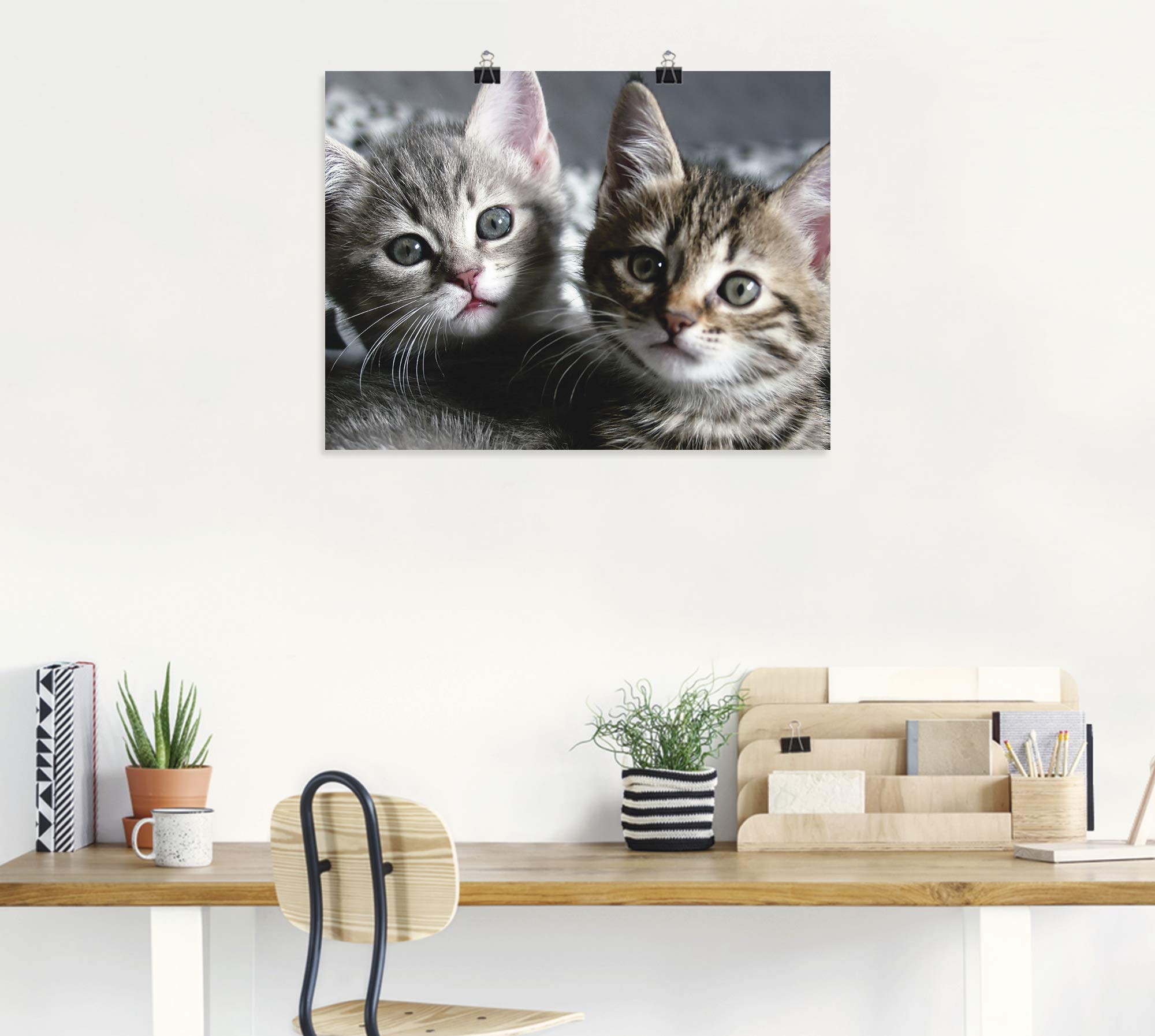 artland-kitten-poster-80x60-cm-katzenbaby image 7
